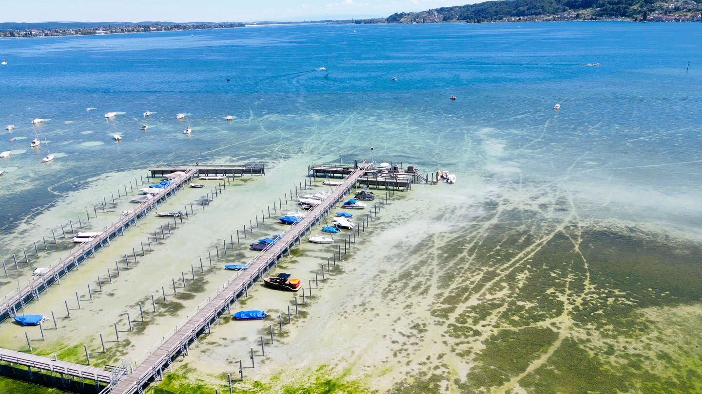Bodensee trocknet aus! Wasserknappheit bedroht Sommerurlauber und die Wirtschaft!