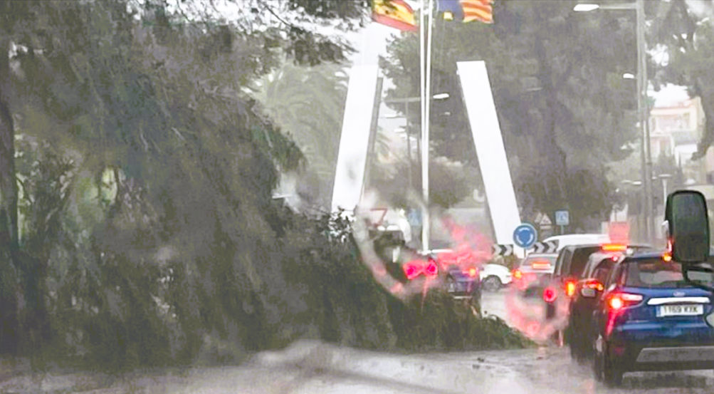 Eilmeldung! Leiche der vermissten Valeriia (9) entdeckt? Polizei entdeckt Leiche!!